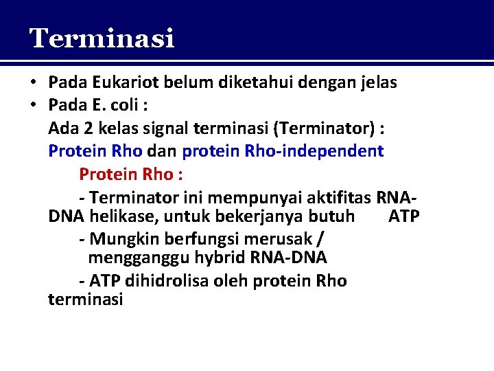 Terminasi • Pada Eukariot belum diketahui dengan jelas • Pada E. coli : Ada