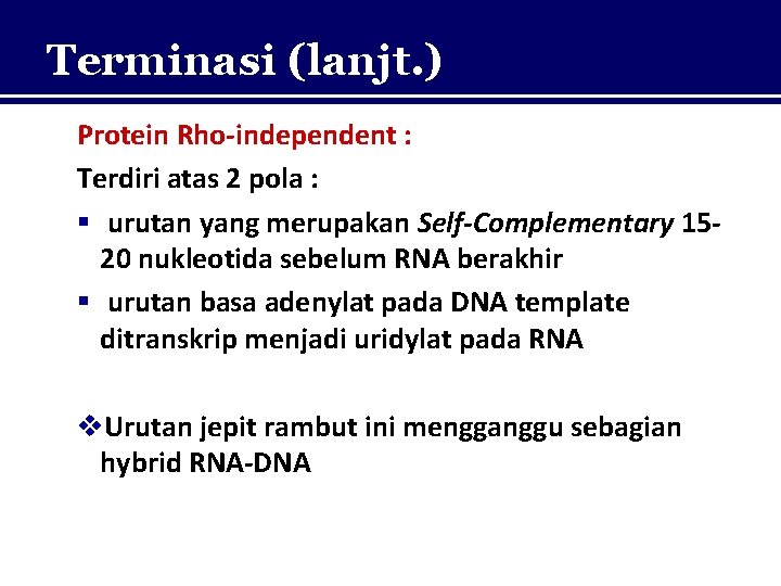 Terminasi (lanjt. ) Protein Rho-independent : Terdiri atas 2 pola : § urutan yang
