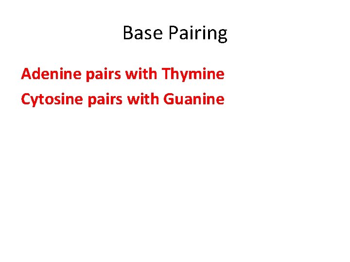 Base Pairing Adenine pairs with Thymine Cytosine pairs with Guanine 