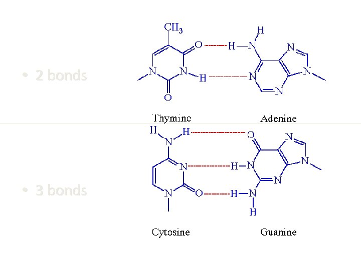  • 2 bonds • 3 bonds 