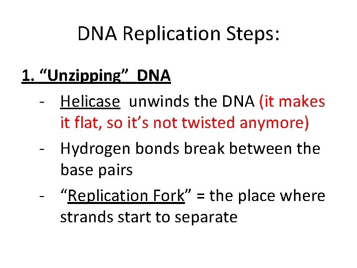 DNA Replication Steps: 1. “Unzipping” DNA - Helicase unwinds the DNA (it makes it