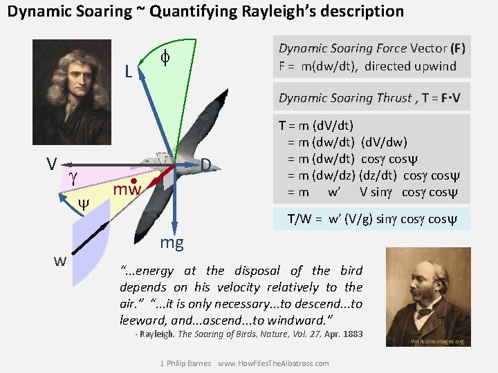 Dynamic Soaring ~ Quantifying Rayleigh’s description Dynamic Soaring Force Vector (F) F = m(dw/dt),