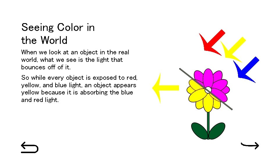 Seeing Color in the World When we look at an object in the real