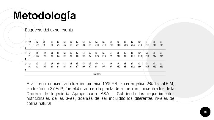 Metodología Esquema del experimento El alimento concentrado fue: iso proteico 15% PB; iso energético