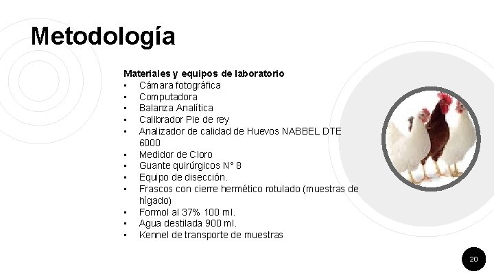 Metodología Materiales y equipos de laboratorio • Cámara fotográfica • Computadora • Balanza Analítica