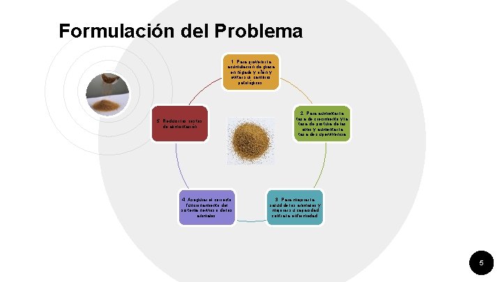 Formulación del Problema “ 1. Para prevenir la acumulación de grasa en hígado y