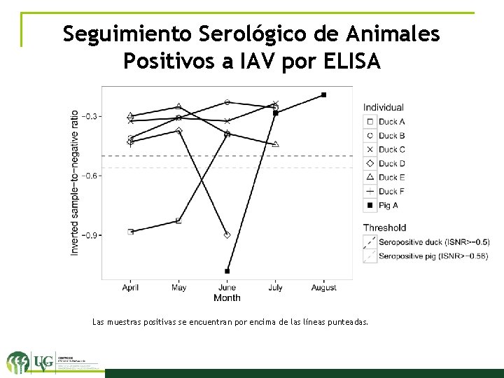 Seguimiento Serológico de Animales Positivos a IAV por ELISA Las muestras positivas se encuentran