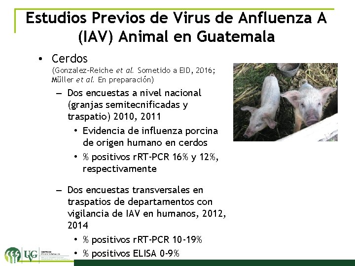 Estudios Previos de Virus de Anfluenza A (IAV) Animal en Guatemala • Cerdos (Gonzalez-Reiche