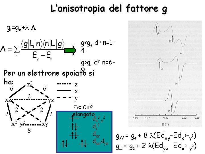 L’anisotropia del fattore g gi=ge+ g<ge dn n=14 g>ge dn n=69 si Per un