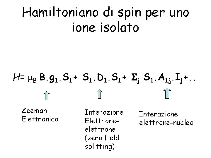 Hamiltoniano di spin per uno ione isolato H= B B. g 1. S 1+