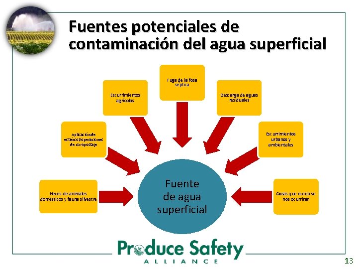 Fuentes potenciales de contaminación del agua superficial Fuga de la fosa séptica Escurrimientos agrícolas