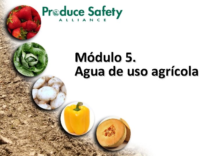 Módulo 5. Agua de uso agrícola 