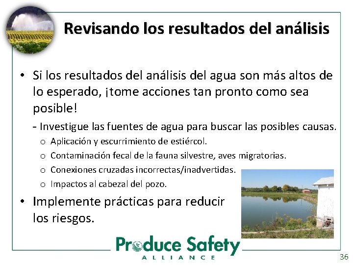 Revisando los resultados del análisis • Si los resultados del análisis del agua son