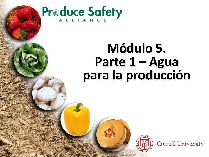 Módulo 5. Parte 1 – Agua para la producción 