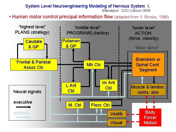 System Level Neuroengineering Modeling of Nervous System I. Massaquoi CDC Cancun 2008 • Human