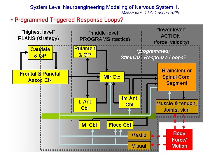 System Level Neuroengineering Modeling of Nervous System I. Massaquoi CDC Cancun 2008 • Programmed