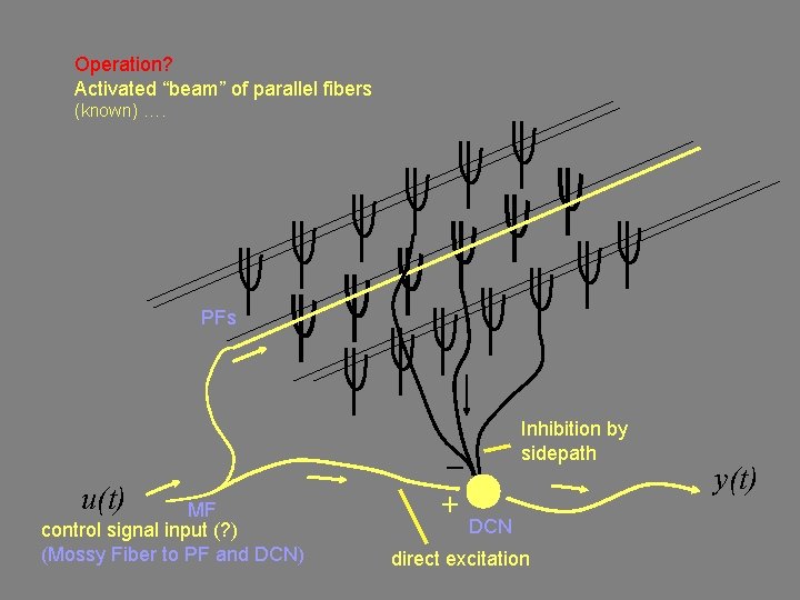 Operation? Activated “beam” of parallel fibers (known) …. PFs u(t) MF control signal input