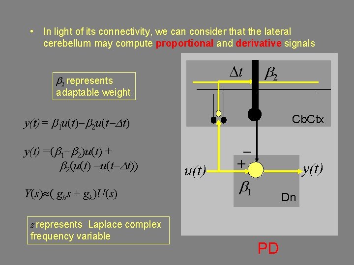  • In light of its connectivity, we can consider that the lateral cerebellum