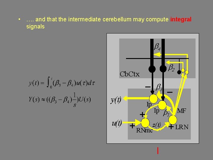  • …. and that the intermediate cerebellum may compute integral signals b 4