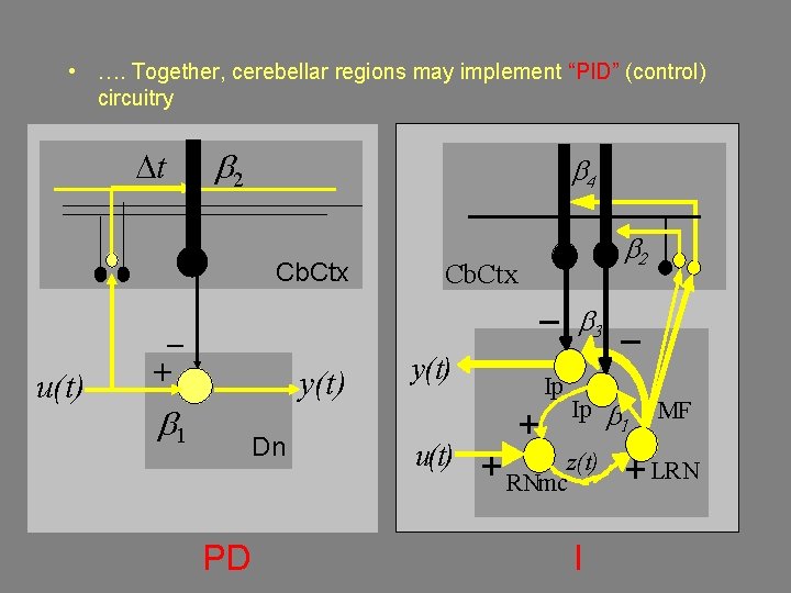  • …. Together, cerebellar regions may implement “PID” (control) circuitry Dt b 2