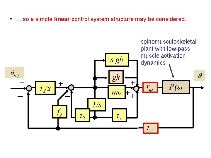  • … so a simple linear control system structure may be considered. spinomusculoskeletal
