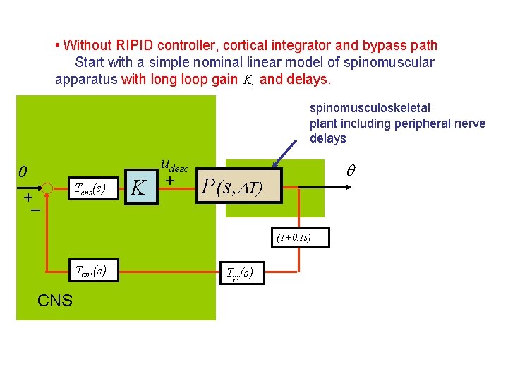  • Without RIPID controller, cortical integrator and bypass path Start with a simple