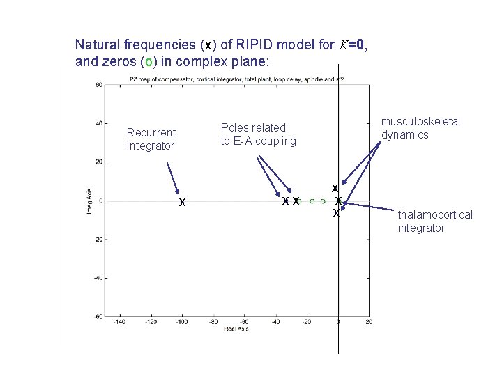 Natural frequencies (x) of RIPID model for K=0, and zeros (o) in complex plane: