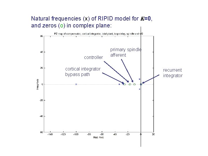 Natural frequencies (x) of RIPID model for K=0, and zeros (o) in complex plane: