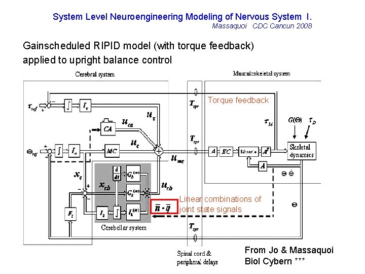 System Level Neuroengineering Modeling of Nervous System I. Massaquoi CDC Cancun 2008 Gainscheduled RIPID