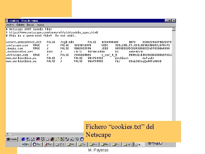 Fichero “cookies. txt” del Netscape M. Payeras 