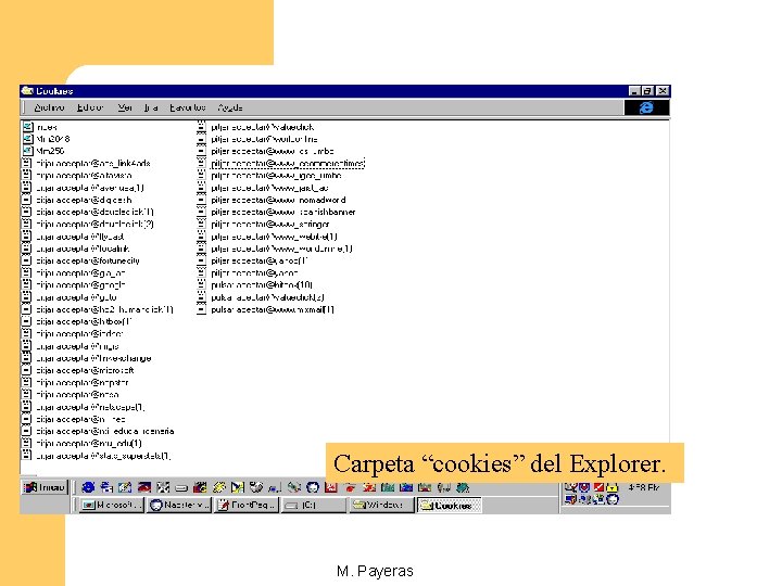 Carpeta “cookies” del Explorer. M. Payeras Carpeta “cookies” del Explorer. M. Payeras