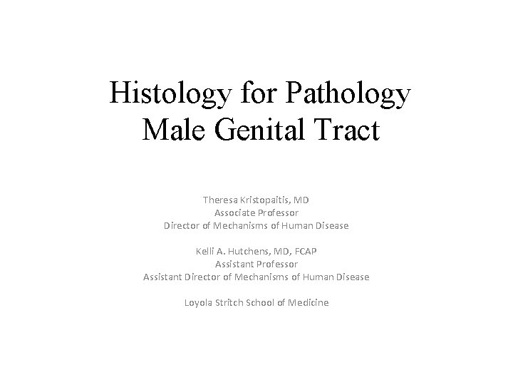 Histology for Pathology Male Genital Tract Theresa Kristopaitis, MD Associate Professor Director of Mechanisms