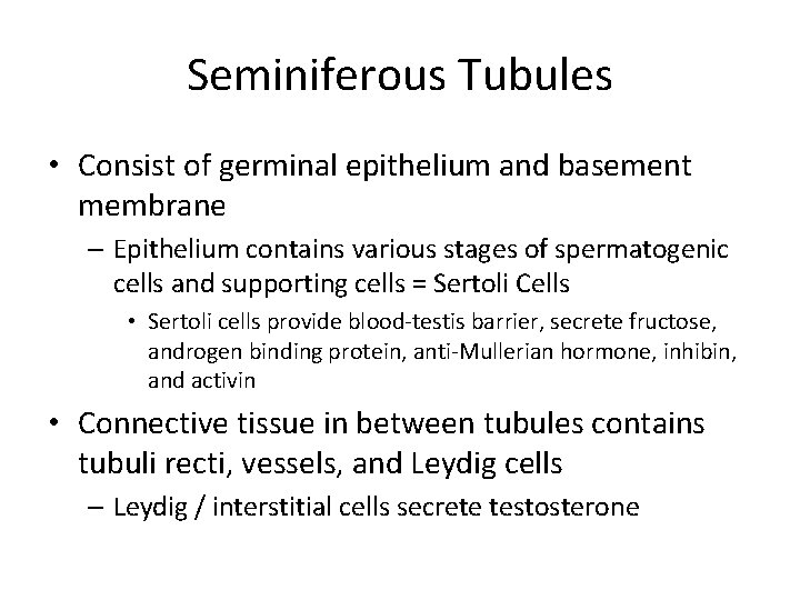 Seminiferous Tubules • Consist of germinal epithelium and basement membrane – Epithelium contains various