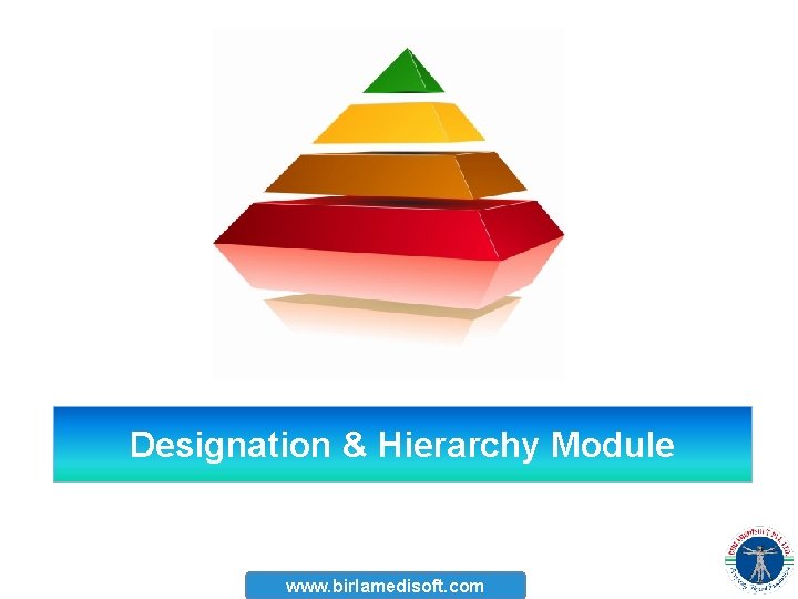 Designation & Hierarchy Module www. birlamedisoft. com 