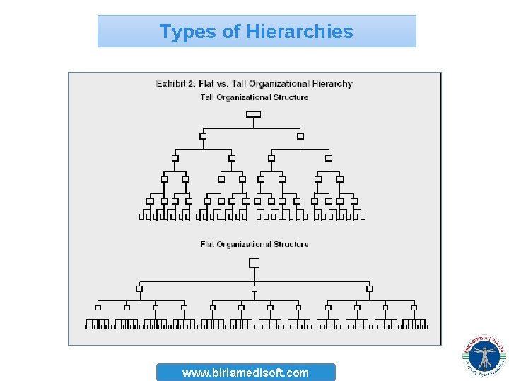 Types of Hierarchies www. birlamedisoft. com 