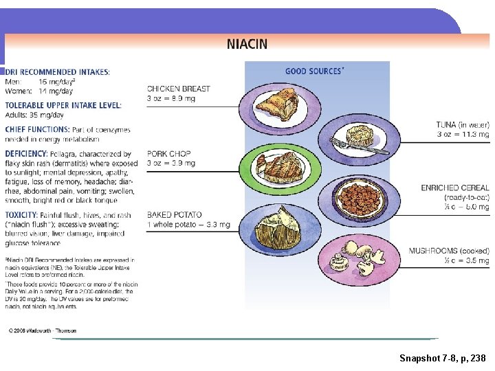Snapshot 7 -8, p, 238 Snapshot 7 -8, p, 238