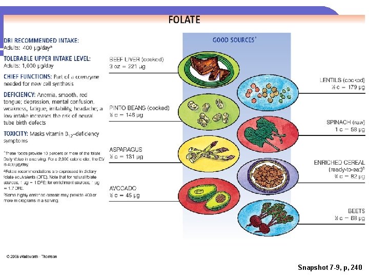 Snapshot 7 -9, p, 240 Snapshot 7 -9, p, 240