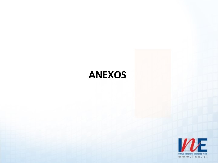 ANEXOS 