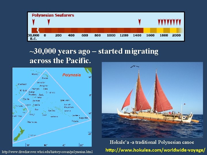 ~30, 000 years ago – started migrating across the Pacific. http: //www. divediscover. whoi.