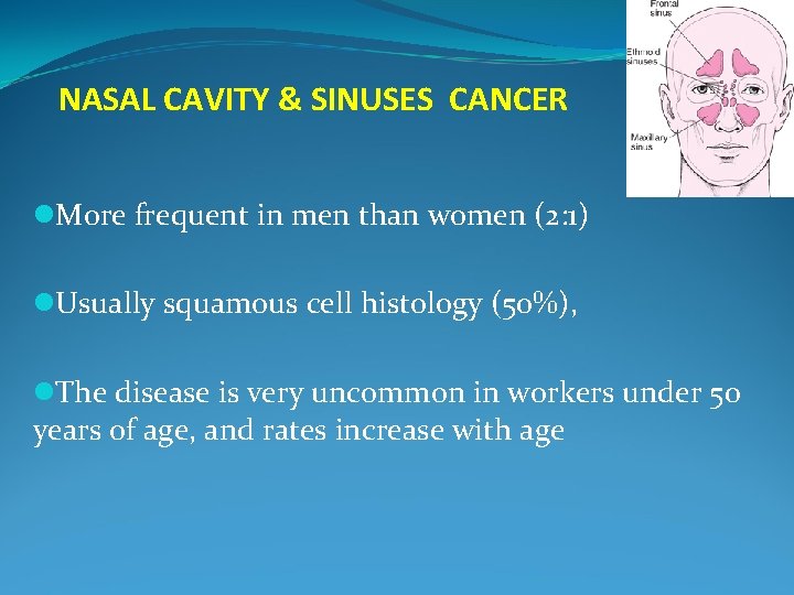 NASAL CAVITY & SINUSES CANCER l. More frequent in men than women (2: 1)