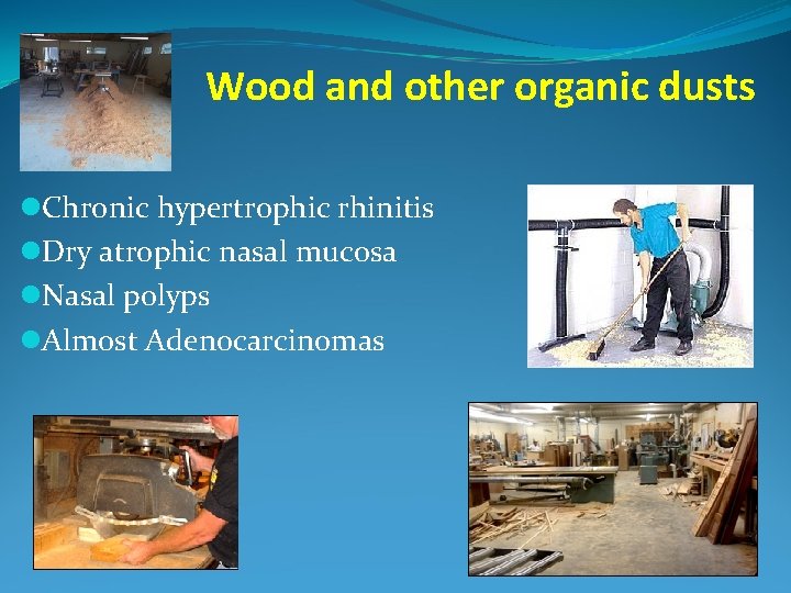 Wood and other organic dusts l. Chronic hypertrophic rhinitis l. Dry atrophic nasal mucosa