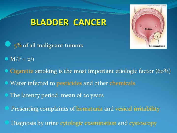BLADDER CANCER l 5% of all malignant tumors l M/F = 2/1 l Cigarette