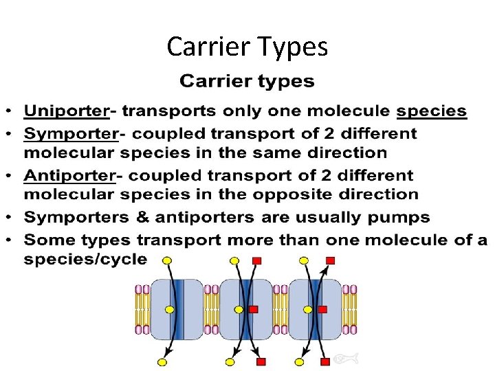 Carrier Types 