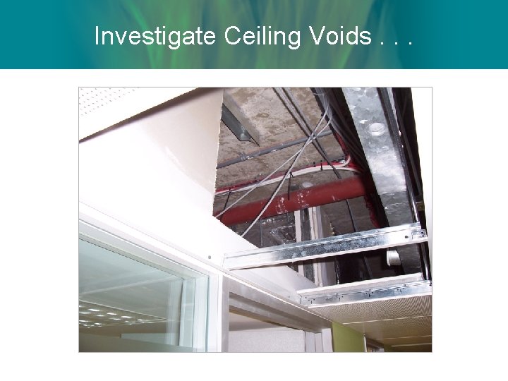 Investigate Ceiling Voids. . . 