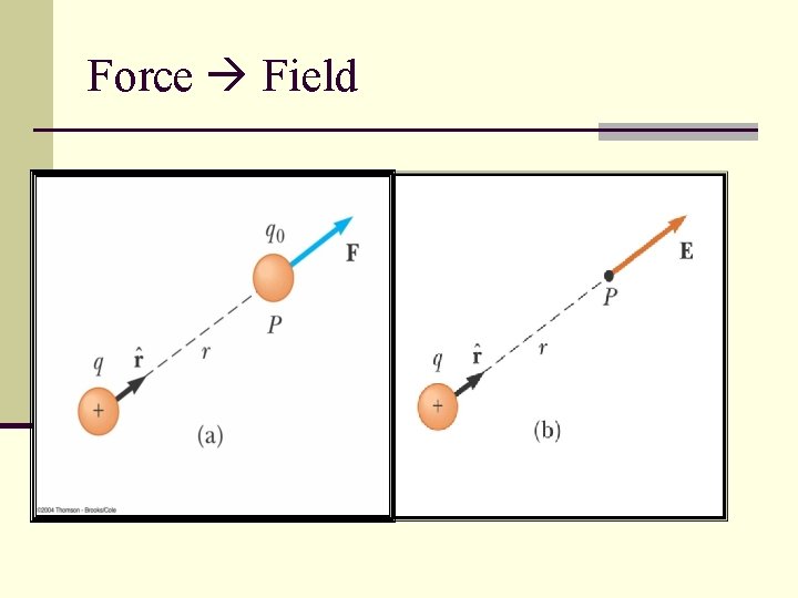 Force Field 