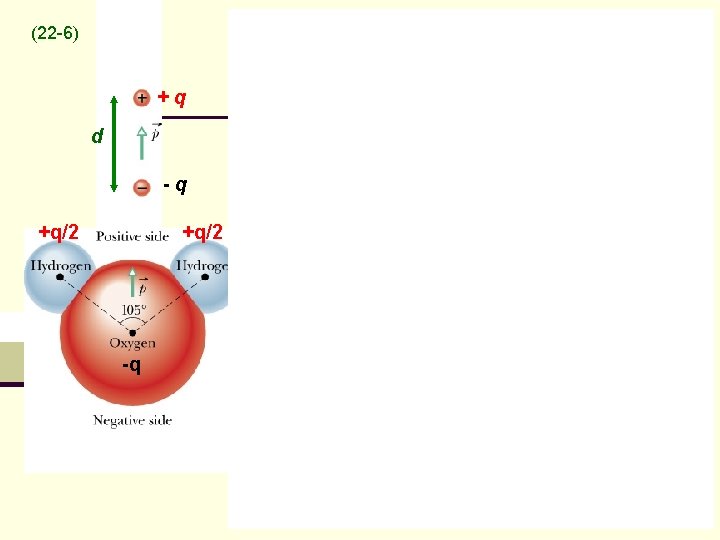 (22 -6) +q d -q +q/2 -q 