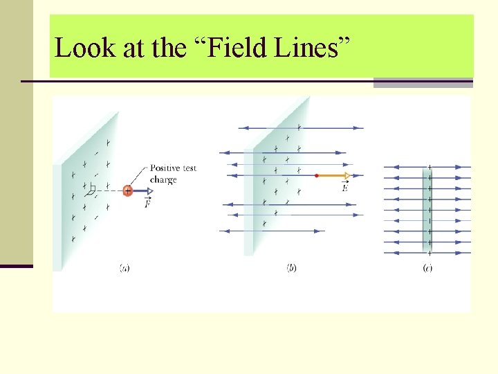 Look at the “Field Lines” 