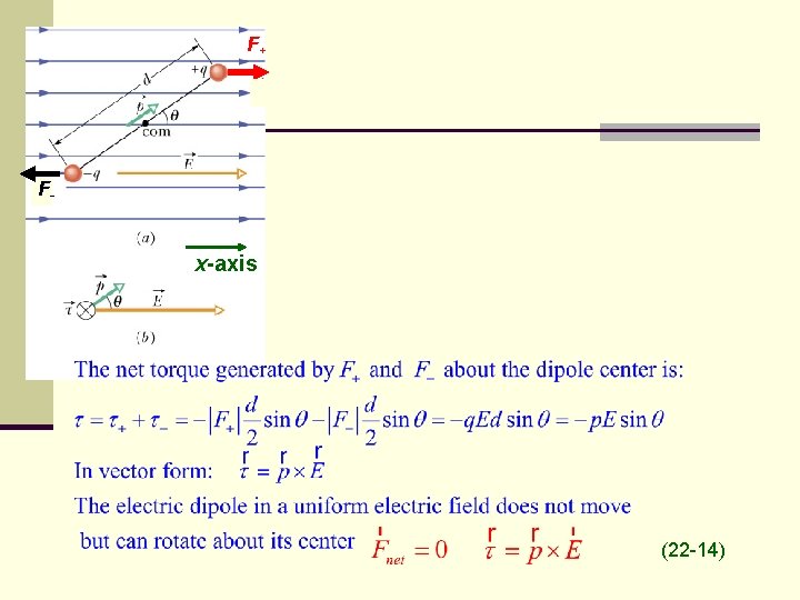 F+ F- x-axis (22 -14) 