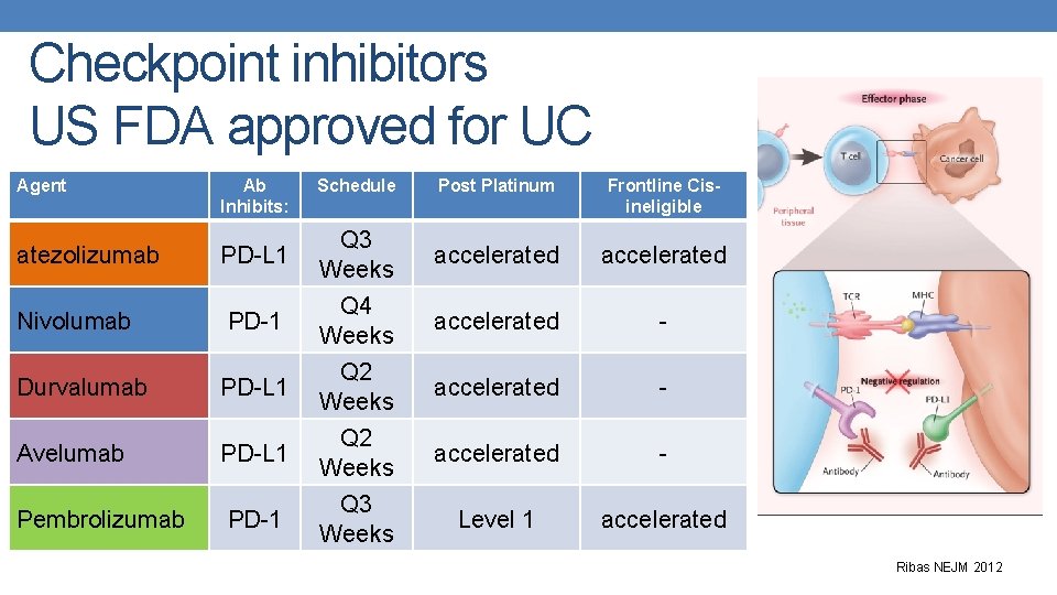 Checkpoint inhibitors US FDA approved for UC Agent Ab Inhibits: Schedule Post Platinum Frontline