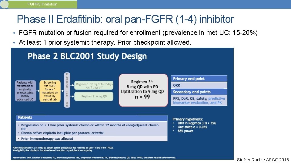 Phase II Erdafitinib: oral pan-FGFR (1 -4) inhibitor • FGFR mutation or fusion required